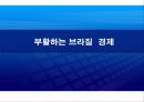 남미공동시장의 주역 - 브라질 7페이지