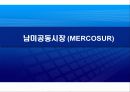 남미공동시장의 주역 - 브라질 15페이지