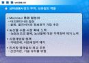 남미공동시장의 주역 - 브라질 17페이지