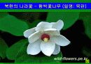 북한 바로알기 9페이지