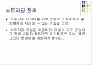 멀티미디어 스트리밍 시스템 3페이지