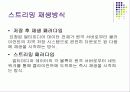 멀티미디어 스트리밍 시스템 5페이지