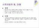 멀티미디어 스트리밍 시스템 10페이지