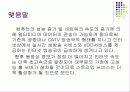 멀티미디어 스트리밍 시스템 17페이지