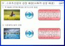 스포츠산업 현황과 발전방안 6페이지