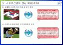 스포츠산업 현황과 발전방안 7페이지