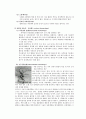  뇌혈관 질환 (cerebrovascular accident, CVA) 노인병원 실습 케이스 5페이지