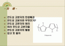전도성 고분자의 원리와 활용(The Principle and Application of Conducting Polymer) 2페이지