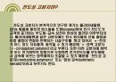 전도성 고분자의 원리와 활용(The Principle and Application of Conducting Polymer) 5페이지
