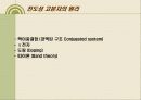 전도성 고분자의 원리와 활용(The Principle and Application of Conducting Polymer) 6페이지