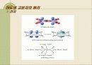 전도성 고분자의 원리와 활용(The Principle and Application of Conducting Polymer) 8페이지