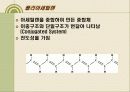 전도성 고분자의 원리와 활용(The Principle and Application of Conducting Polymer) 10페이지