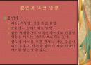 실내오염의 원인과 대책 8페이지