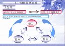 [심리학] 엘리스의 합리적 정서적 행동치료 PPT 3페이지
