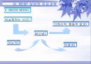 [심리학] 엘리스의 합리적 정서적 행동치료 PPT 14페이지