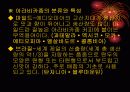 커피의 유래 4페이지