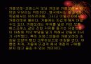 커피의 유래 11페이지