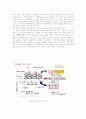 음극선관 11페이지