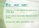 인간의 행위로 인한 토양의 변화 3페이지