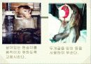 사회적으로 문제가 되는 음식 28페이지