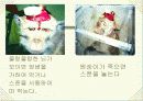 사회적으로 문제가 되는 음식 29페이지