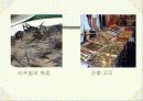 사회적으로 문제가 되는 음식 33페이지