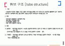 초고층 건물구조 시스템 10페이지