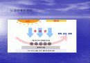 새집증후군의 피해와 해결방안 모색 6페이지