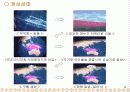 엘리뇨와 라니냐에 대한 조사 6페이지