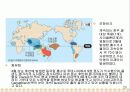 엘리뇨와 라니냐에 대한 조사 22페이지