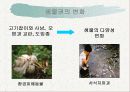 환경문제와 해결방안 6페이지