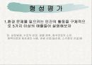 환경문제와 해결방안 14페이지