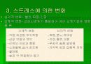 스트레스의 원인 및 해소법 4페이지