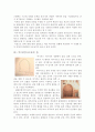 돔(dome) 구조에 관하여 4페이지