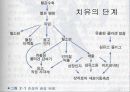 치료의 개념 4페이지