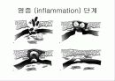 치료의 개념 6페이지