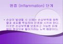 치료의 개념 7페이지