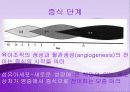 치료의 개념 11페이지