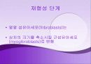 치료의 개념 12페이지