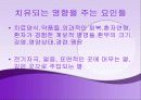 치료의 개념 20페이지