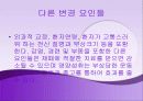 치료의 개념 25페이지
