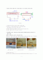 전자석의 원리와 전자석의 세기를 강하게 하는 방법 7페이지