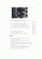 미술 수업 지도안 (이야기가 있는 연속 사진) 3페이지
