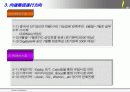시장 조사 및 판매 전략 보고서 19페이지