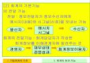기업 회계의 기초 5페이지