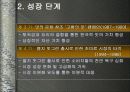 다시다 캠페인 10페이지