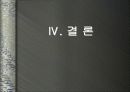 다시다 캠페인 33페이지