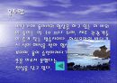 제주도의 관광자원 3페이지