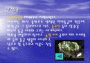 제주도의 관광자원 4페이지