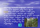 제주도의 관광자원 6페이지